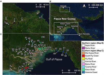 Papua New Guinea: A Potential Refuge for Threatened Indo–Pacific River Sharks and Sawfishes